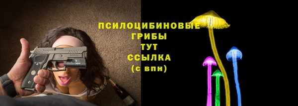 бошки Алексин