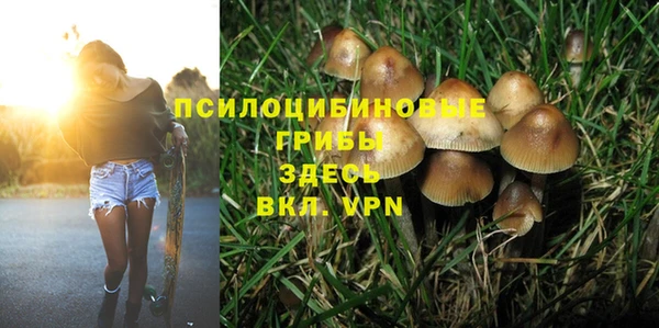синтетический гашиш Алексеевка