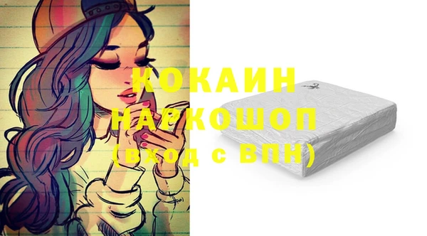 бошки Алексин