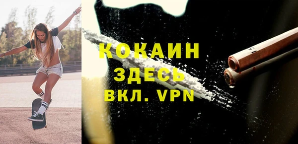 бошки Алексин