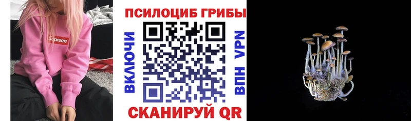 Псилоцибиновые грибы MAGIC MUSHROOMS  хочу наркоту  Тулун 